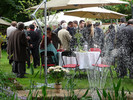 Garden party