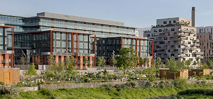 Photo montrant une parcelle cultivée dans la ZAC des docks à Saint-Ouen avec des immeubles et des entreprises en arrière-plan. 